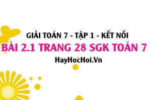 Giải bài 2.1 trang 28 Toán 7 Tập 1 SGK Kết nối tri thức
